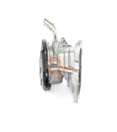 MK667800-EGR Valfi A2C59515073 504317810