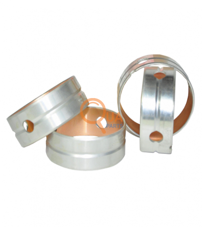 5283368-Eksantrik Burcu (Adet)