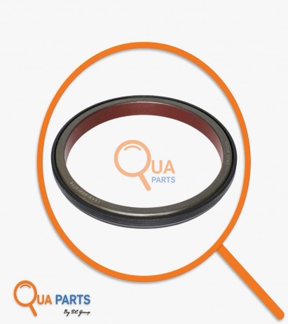 1923380-Krank Keçesi, Arka