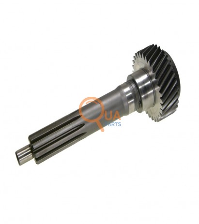 1310302089-Prizdirek, Şanzıman