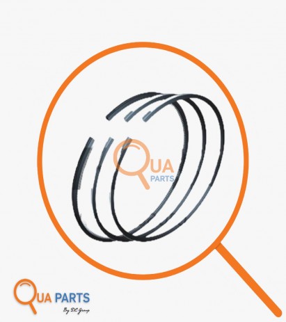 8970787790-Segman Std (Set)