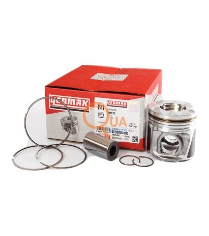 1100D114-480-Piston Segman Std