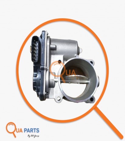 1450A209-Gaz Kelebeği 6000605309