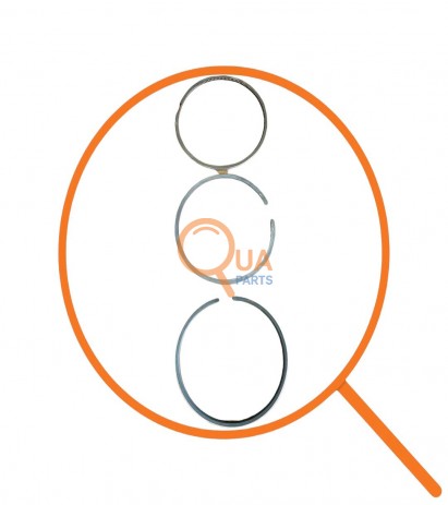 04287811-Segman Std