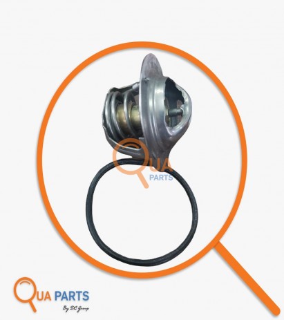 3967195-Termostat (60 Derece)