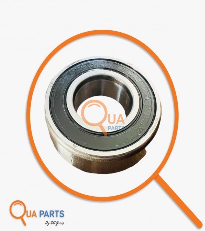 CG171310Y-Rulman, Şanzıman