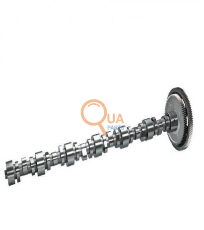 A4600500601C-Eksantrik Mili