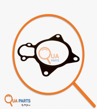 MK667394-Conta, Devirdaim 504080013