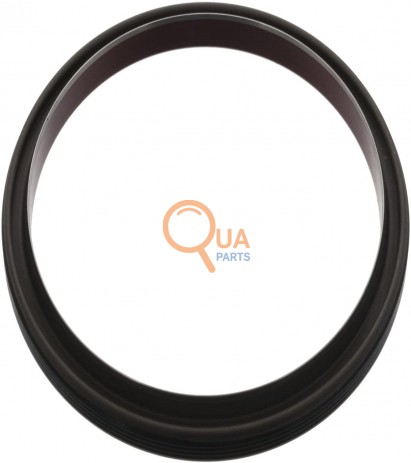 321876190782-Oil Seal, Crankshaft (RR)