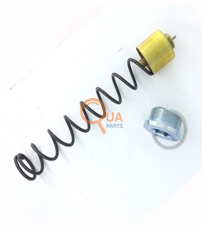 321870860782-Oil Cooler Valve