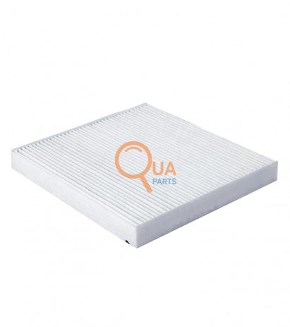 1615646880-Polen Filtresi