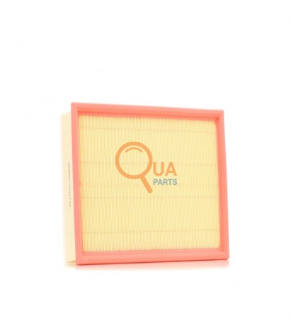 2N0129620-Hava Filtresi