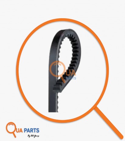 3264014448782-Belt