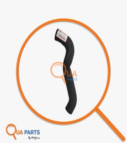 3263403759782-Hose, Radiator (Lwr)
