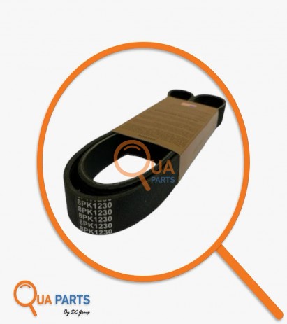 324898546782-Belt