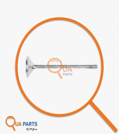 3251041010547782-Valve Set (Intake)