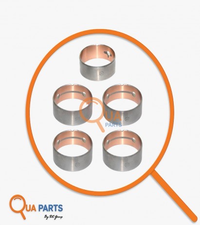 51044100156-Eksantrik Yatak Std (Takım) (4+1) 51044100161