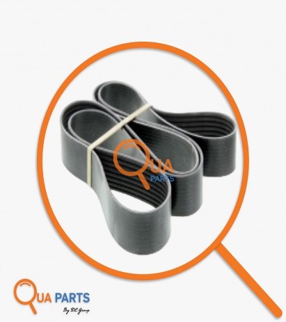 323972378782-V-Belt D1939046 8PK2255 8PK2251 3972378 397237800