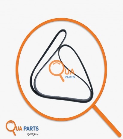 3211484002782-V-Belt 1184002 8PK 1202