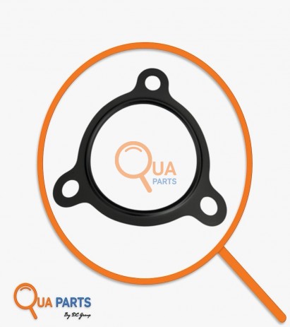 MK667161-Emme Manifold Contası