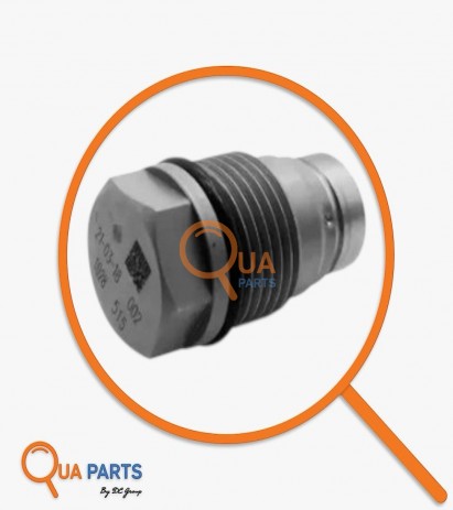 1110010022-EGR Basınç Sınırlama Valfi (Tapası/Civatası) 1110010026