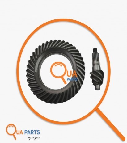 MC892857-Ayna Mahruti (6.37) MC863586