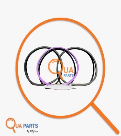 321783501782-Shirt Elastic Set 1783501-1783976