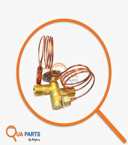 11119611BY-Valf, Expansion (Genişleme)