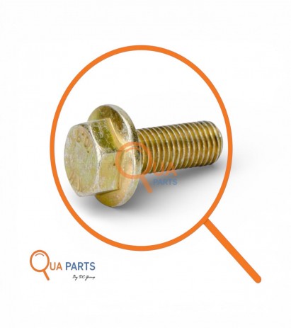 1243076-Flange bolt 10.9 (M10X30)