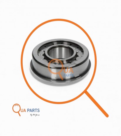 0077059-Cylindrical bearing, differential BC1B326145A NJ307ETVPBGR